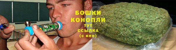 PSILOCYBIN Корсаков
