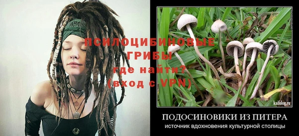 ECSTASY Заволжск